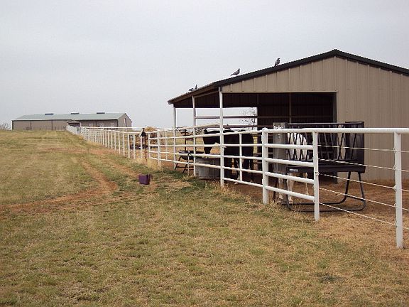 paddocks with shelters and w