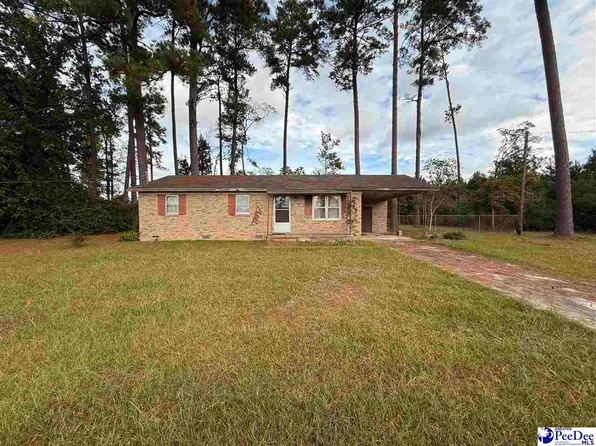 17 Ard Cir, Hemingway, SC 29554