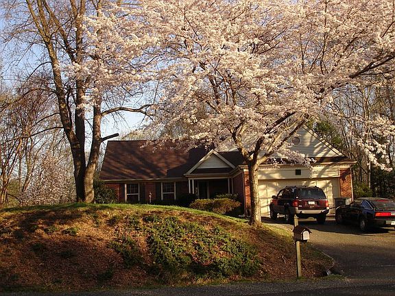 Lots of flowers in the front in Springtime