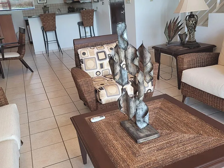 203 Avenida Laguna #1231 — Photo 16