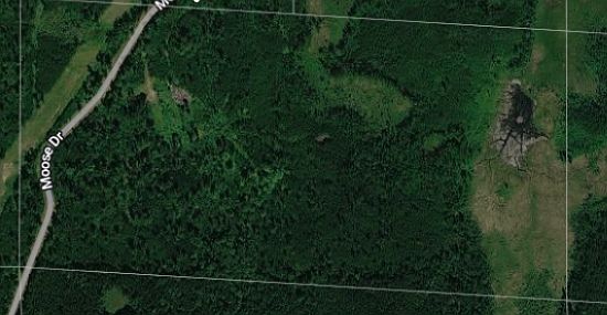 1st image of Moose Dr