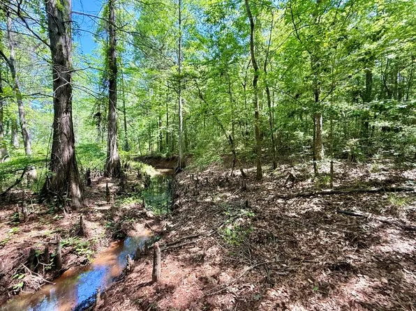 445 Falcon Dr, Hemphill, TX 75948