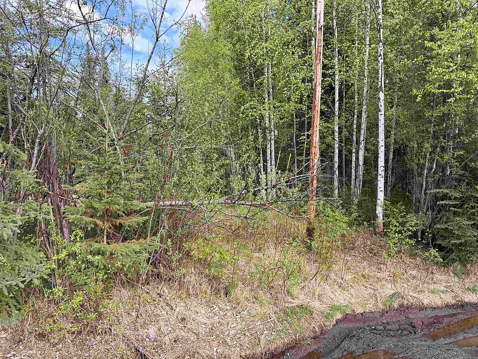 2nd image of 278 Narrow View Ln