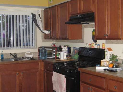 1st image of 3453 Village Green Ct