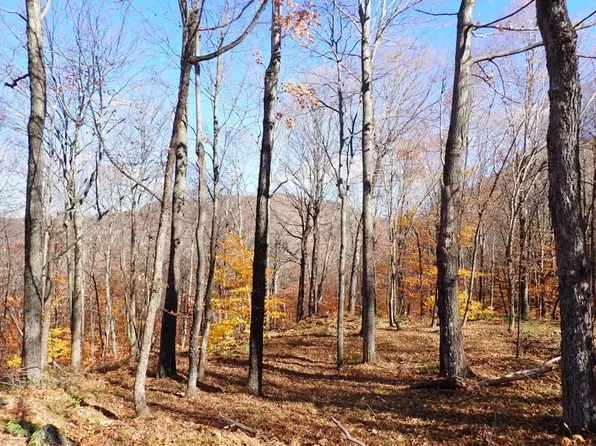 0 Chunks Brook Road, Sandgate, VT 05250