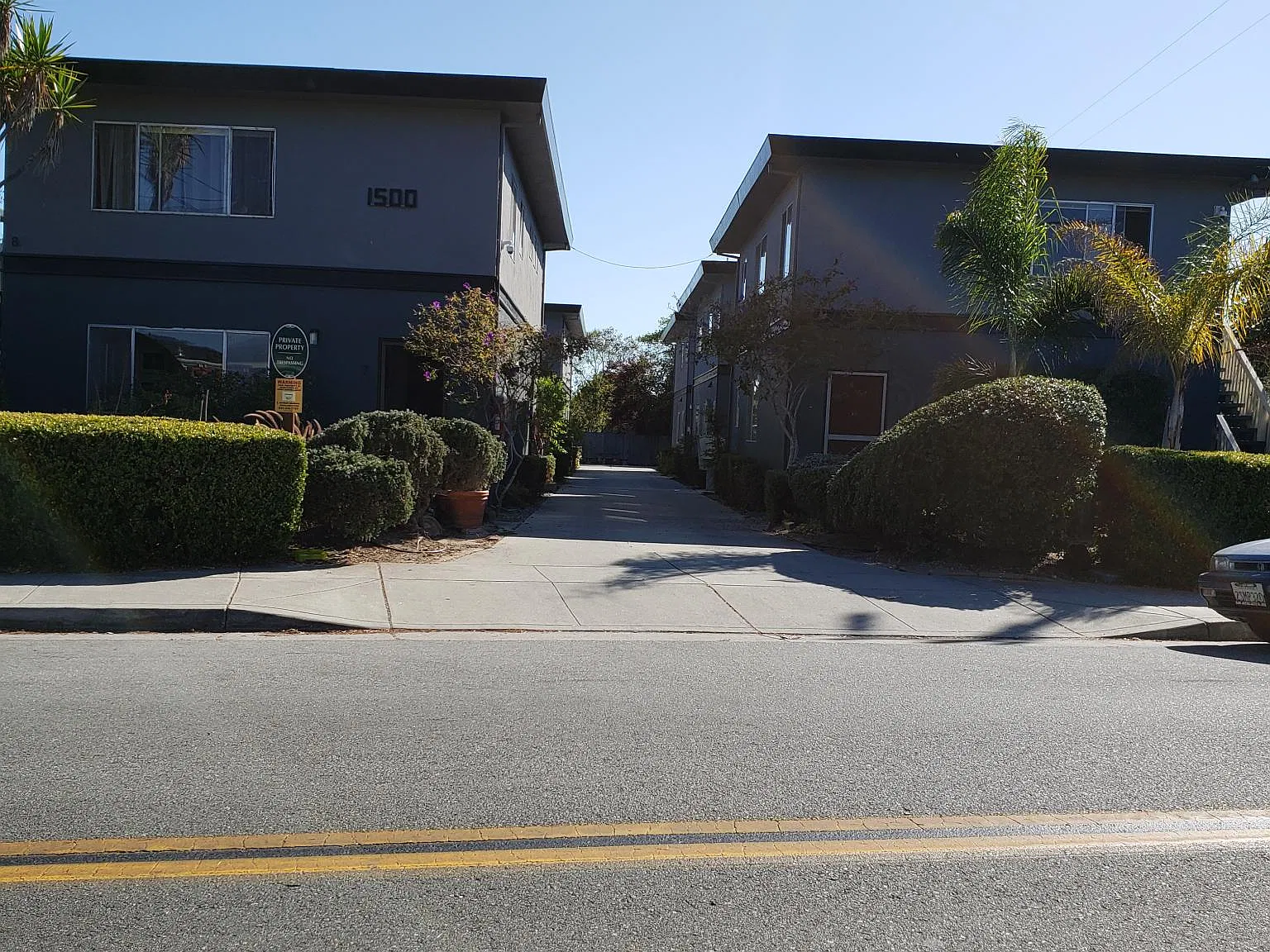 1 bed, 600 sqft, $2,300 — Photo 3