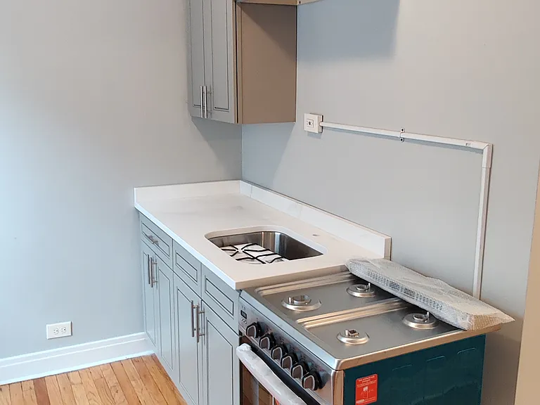 3949 W Cortland St #1R — Photo 3