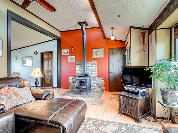 Wood stove (not pellet)