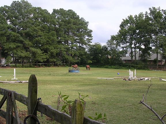 5th image of 337 Jule Dr