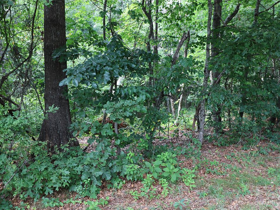 2nd image of LOT 22 Commercial Dr