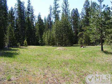Meadow 1
