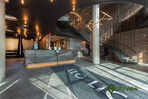 Rented by City View Living | media 145