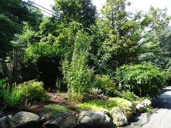 Flowering cherry welcomes!