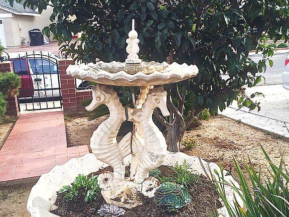 Front Yard