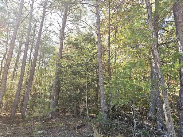 12 Deer Springs Rd, Morganton, GA 30560