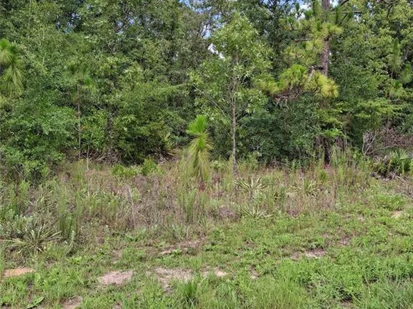 LOT 7 Crabapple Rd Lot 7, Brooksville, FL 34614