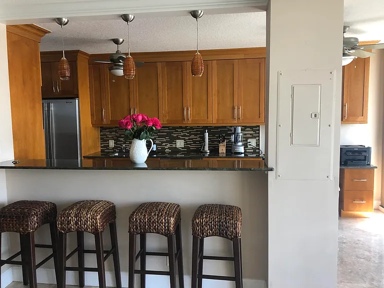 3400 N Ocean Dr #1506 — Photo 6