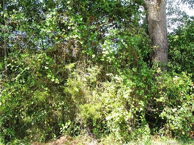 2nd image of 256 Jim Hanna Ln