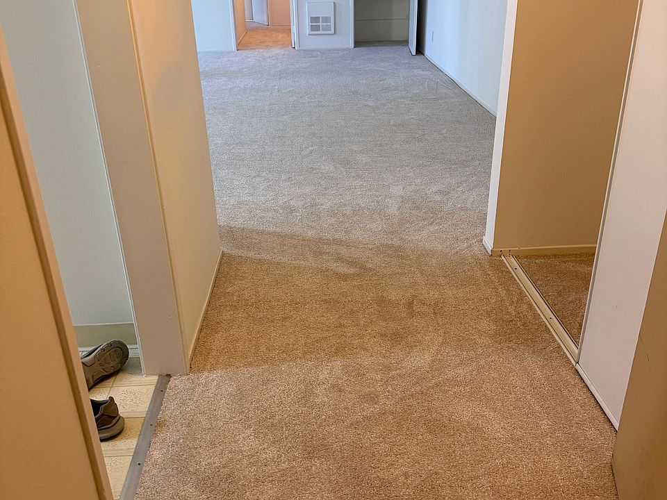Looking into unit from front door
left is Kitchen , right is large hall closet