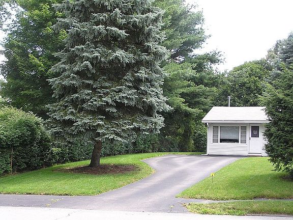 Tree and driveway.