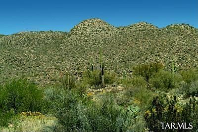 4th image of 1074 W Tortolita Mountain Cir