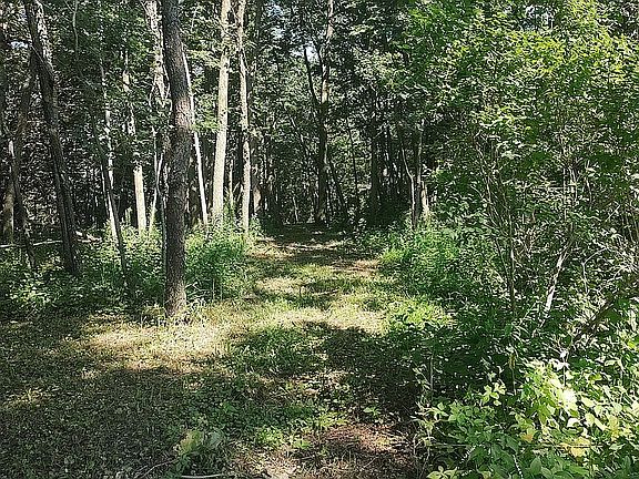 Path to River