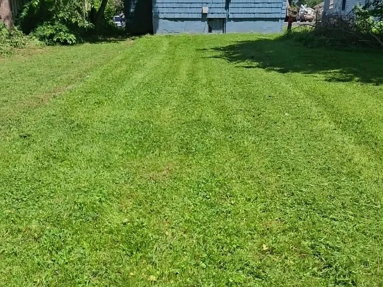 1143 E Cleveland Ave — Photo 10