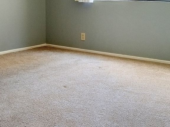 Bedroom carpet and window.
