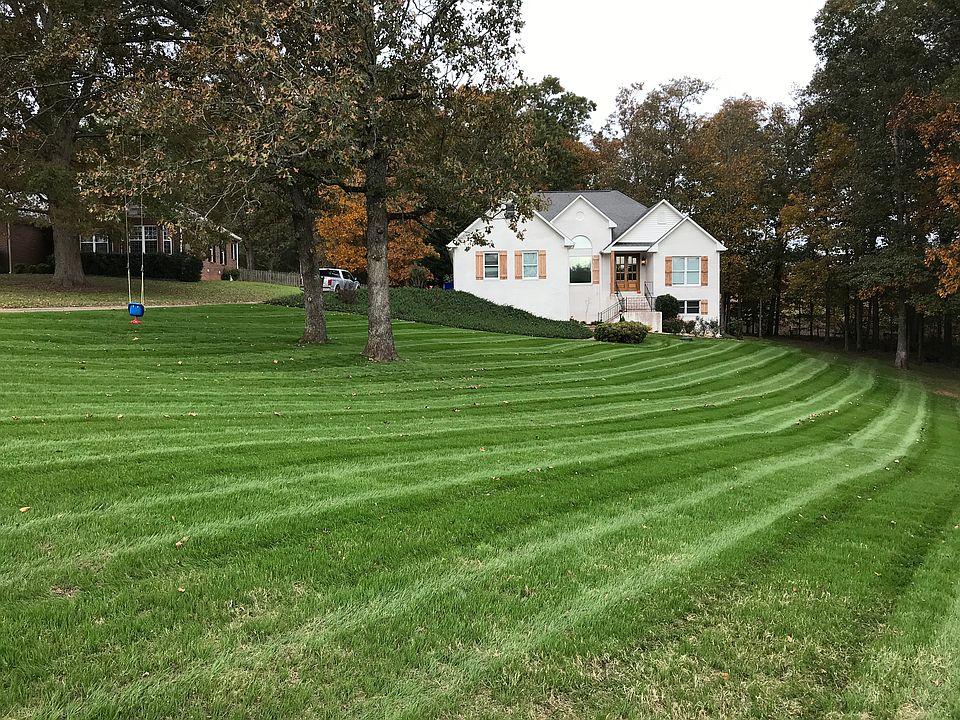 Lyme-washed and new lawn