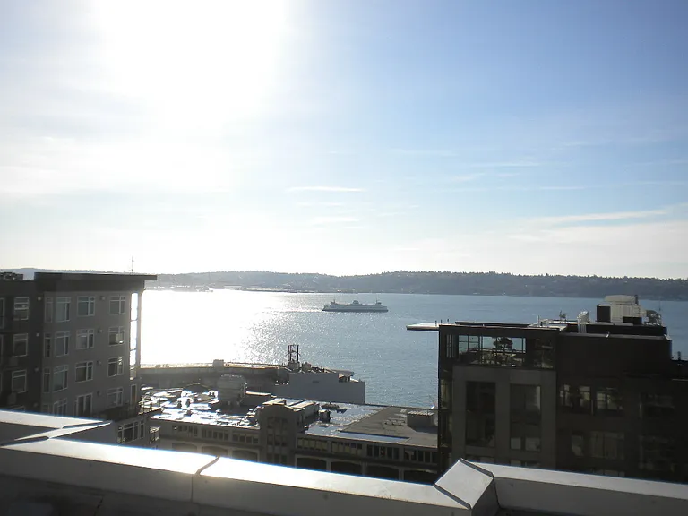 76 Cedar St #1308 — Photo 15
