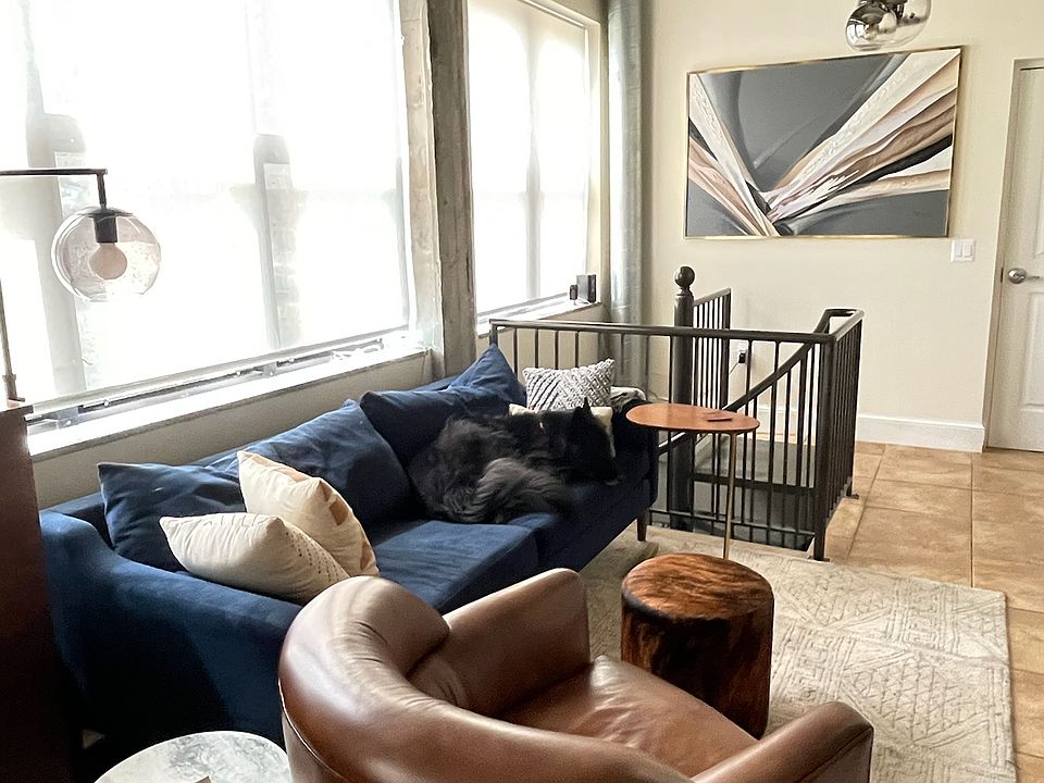 Entry and living area (dog not included...)