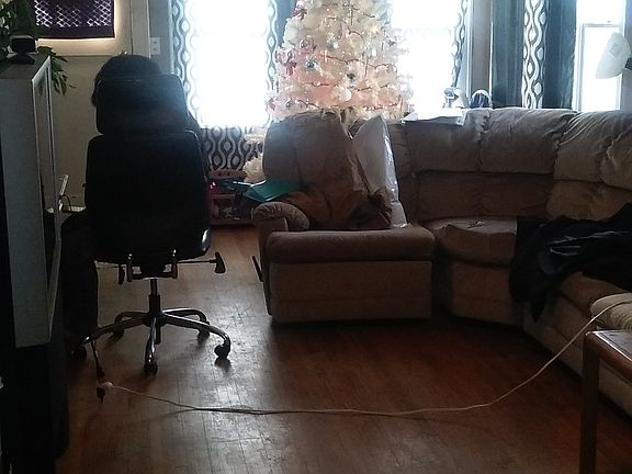 downstairs living room