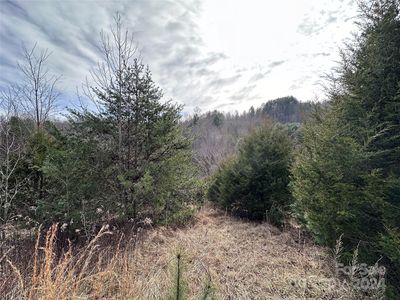 0 Ramsey Chandler Rd #14, Marshall, NC, 28753