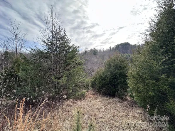 0 Ramsey Chandler Rd #14, Marshall, NC 28753