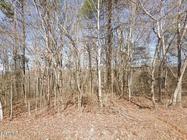 113 Chanusi Way, Loudon, TN 37774