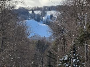 226 Wild Cherry Ln, Harbor Springs, MI 49740