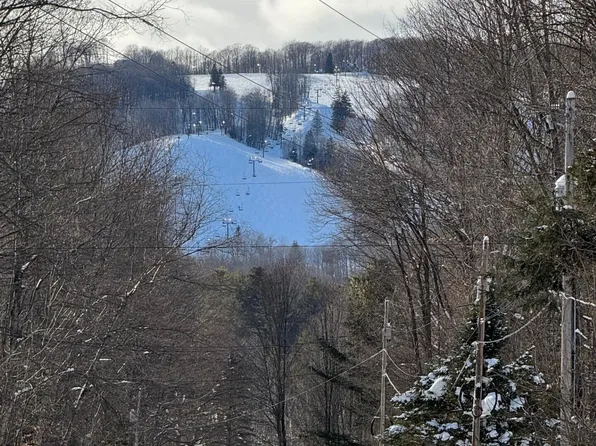 226 Wild Cherry Ln, Harbor Springs, MI 49740