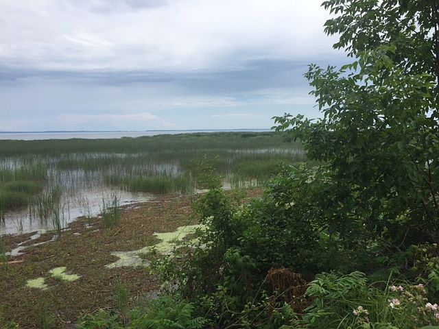 1st image of .65 Acres South Of N1062 Shore Dr