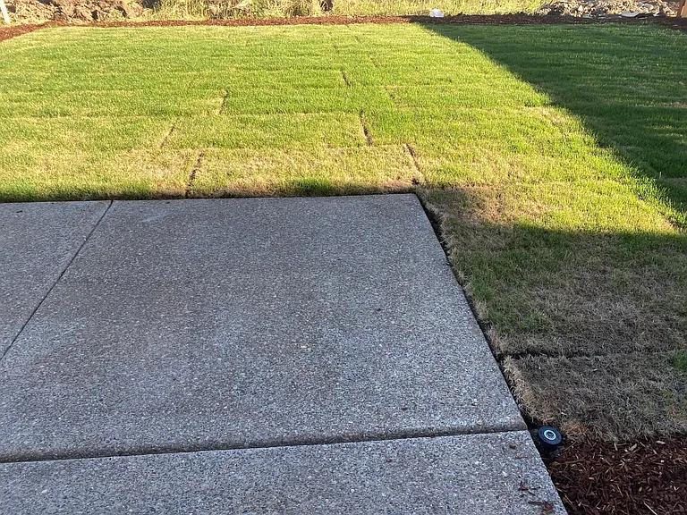 Fenced backyard