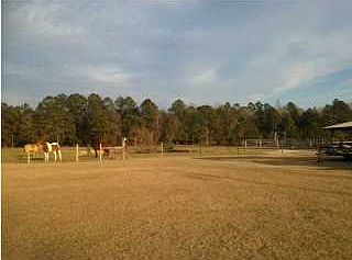 2nd image of 450 Foxchase Dr