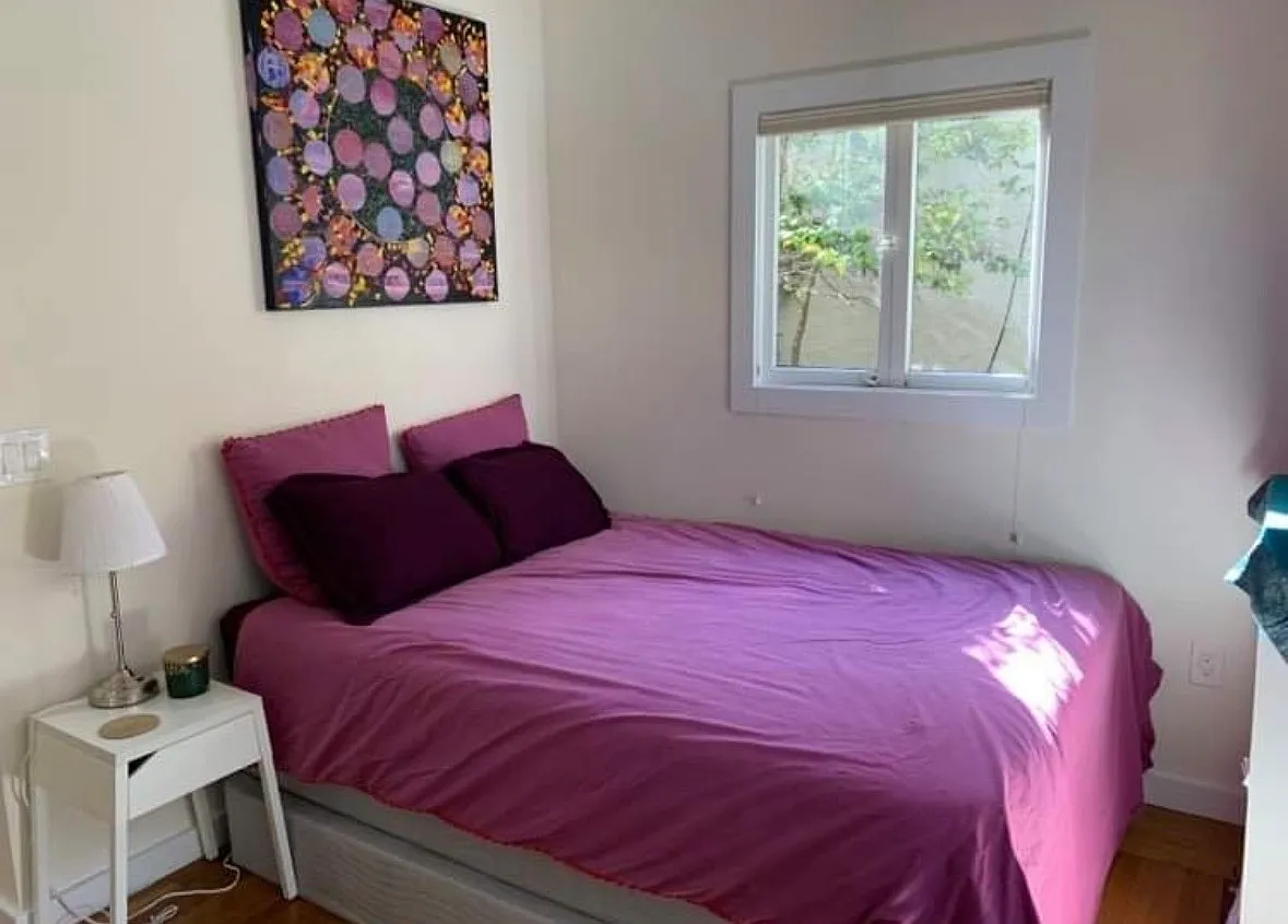 1 bed, 485 sqft, $2,500 — Photo 2
