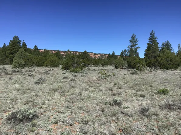 Lots 7 8 Cottonwood Dr, Ramah, NM 87321