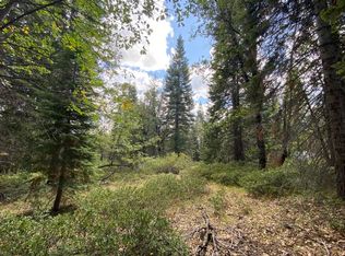 1-A-17 Mount Shasta Dr, McCloud, CA 96057