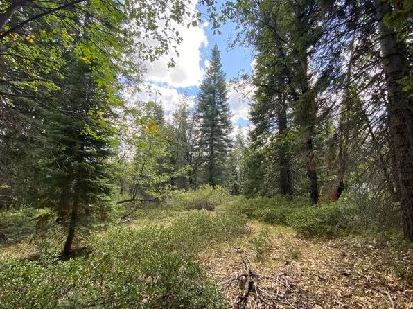 1-A-17 Mount Shasta Dr, McCloud, CA 96057