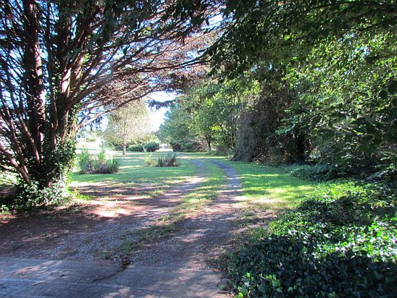 Looking out driveway to road