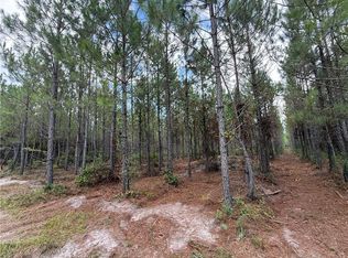 0 Corbitt Rd, Manor, GA 31550