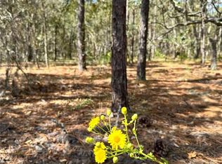 10 Apple Ct #8, Homosassa, FL 34446