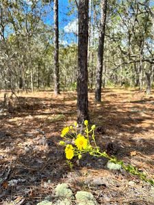 10 Apple Ct #8, Homosassa, FL, 34446