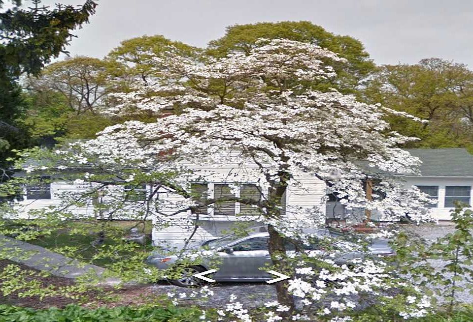 1st image of 11 Bellaire Ave