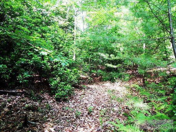 3rd image of Tbd Hardwood Hill Drive